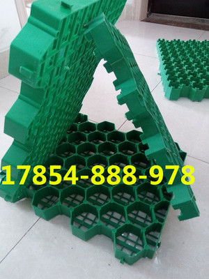 歡迎光臨、南京停車位植草格))股份丨歡迎您_南京植草格,南京停車位植草格,南京植草格公司,植草格,停車位植草格_供應信息_中國安防展覽網(wǎng)